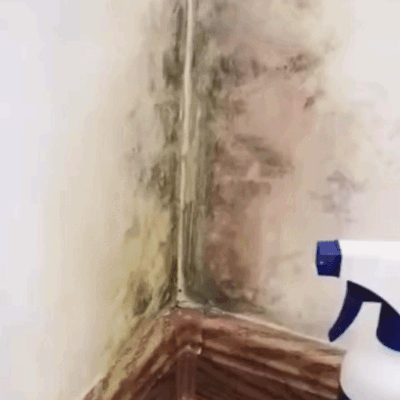Spray Anti-Mucegai