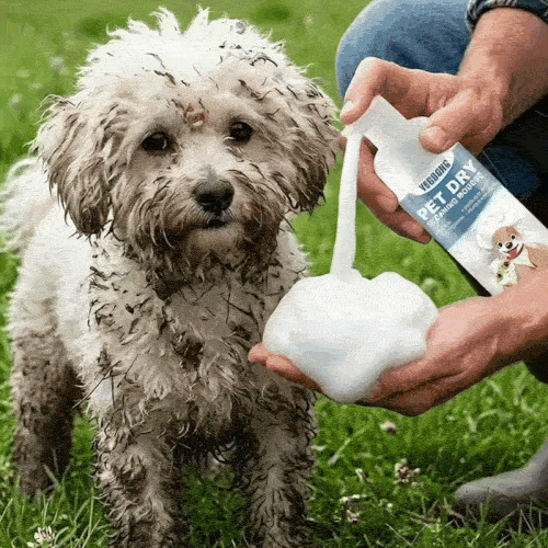 Spumă curățare animale fără apă